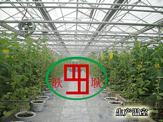 阳光板